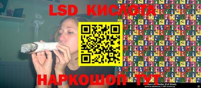 индика Донецк