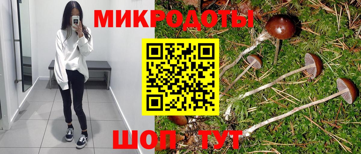 Галлюциногенные грибы Psilocybe  купить  цена  Галлюциногенные грибы мухоморы  Красноармейск  Вход с VPN 